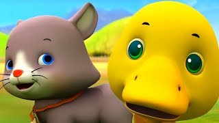 Animals Song amp More Kids Songs  Nursery Rhymes Playlist for Children  MiniBus [upl. by Nitsa]