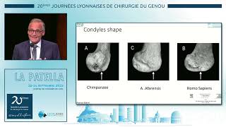 J1Embryogenèse de la fémoropatellaire P Mertl [upl. by Nauqyt5]