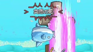 Aqua Paradiso FULL CLEAR MolaMola Ranking Dojo The Battle Cats [upl. by Iarahs990]