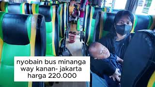 naik bus minanga lampungjakarta [upl. by Byrd]