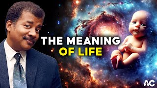 Neil deGrasse Tyson  THE MEANING OF LIFE [upl. by Arykahs]