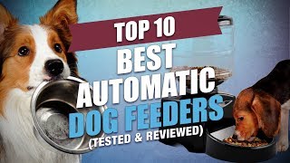 Top 10 Best Automatic Dog Feeders [upl. by Luhar]