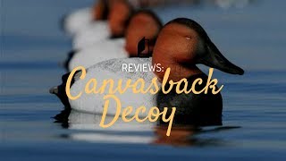 Higdon Canvasback Duck Decoys  First Look  Unboxing [upl. by Idissak]