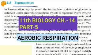 Class 11 BiologyCh14 Part5Aerobic RespirationStudy with Farru [upl. by Macleod]