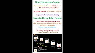 Fixing and Processing Histopathology Samples geneticteacher [upl. by Euqina810]