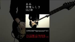 ああ 素晴らしき SGZ節【LUNA SEARejuvenecence】Gソロ弾いてみた [upl. by Hanleigh]