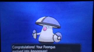 Shiny Foongus evolves into shiny Amoonguss [upl. by Alfonse]