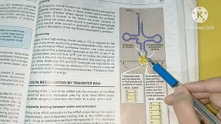 Wobble HypothesisProtein synthesis Part 3BiochemistryLippincott [upl. by Surtemed414]