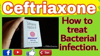 Monocef 1gm injectionCeftriaxone mechanism of actionEp1416112018use of monocef injection [upl. by Alvin729]