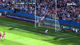 Top 5 GAA Hurling Goals  2013 [upl. by Amihsat]