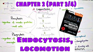 Phagocytosis Pinocytosis Chapter 2 part34 Ameboid movement Ciliary movement  Guyton and Hall [upl. by Reis581]