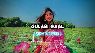 Slow x Reverb Gulabi Gaal  Bindass Kavya Pravisht Mishra  Saaj Bhatt Aniket Shukla NewHindi2024 [upl. by Rimat538]