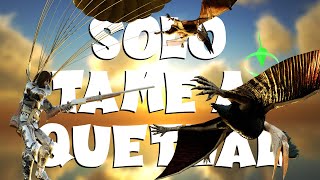 How to Solo tame a Quetzal  Ark Survival Evolved [upl. by Hobey]