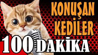 Konuşan Kediler 100 Dakika 2Bölüm  En Komik Kedi Videoları  PATİ TV [upl. by Anak]