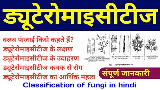 ड्यूटेरोमाइसीटीज  deuteromycetes in hindi  fungi classification general characteristics Example [upl. by Nilloc]