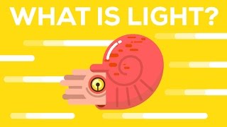 What Is Light [upl. by Rudwik556]