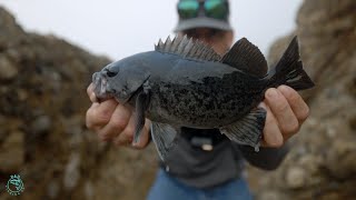 Fishing for Rockfish on the California Coast [upl. by Cusick]