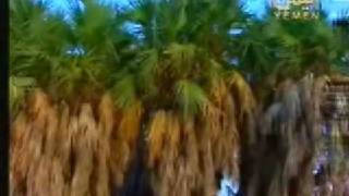 Yemen Travel tourism Kamaran Island 1 [upl. by Wellington]