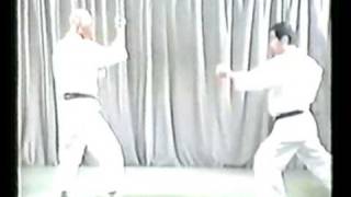 Wado Karate Basic Bunkai by Tatsuo Suzuki [upl. by Ysnap]