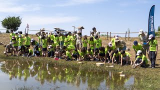 Reintroducción de gallipatos Programa quotNaturalización de las aulasquot de Fundación BIOPARC [upl. by Nevar348]