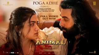 Full Video Pogaadhe  ANIMAL  Ranbir K Rashmika M  Karthik Shreyas P Mohan R  Sandeep Reddy V [upl. by Holds]