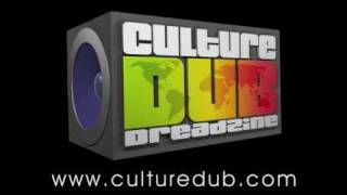 Teaser Télérama Dub Festival 2010  Vidéo Culture Dub [upl. by Ahtekahs]