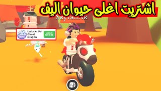 اشتريت كل حاجة في تحديث الهلوين في ماب ادوبت مي لعبة roblox [upl. by Lladnyk]