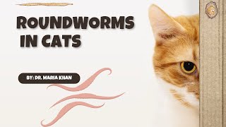 HOW TO PREVENT ROUNDWORMS IN CATS cute cat cats [upl. by Nilat]