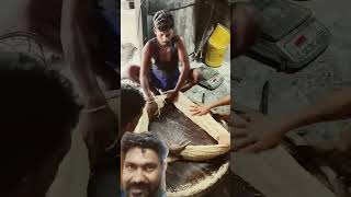 Making Soan papdi at Kolkata kolkata soanpapdi ytshorts trending short foryou [upl. by Sedlik]