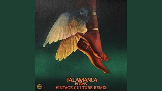 Talamanca Vintage Culture Remix [upl. by Anirbus717]