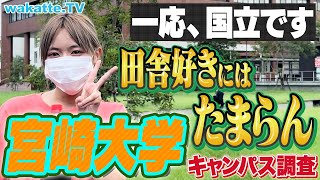 【共テ6割合格】自然豊か！田舎暮らしにはピッタリ？宮崎大学キャンパス調査！【wakatte TV】947 [upl. by Bonine]