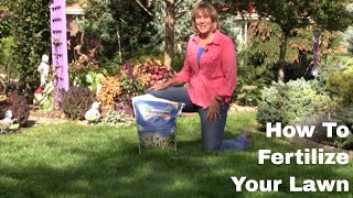 How To Fertilize Your Lawn [upl. by Ludwigg]