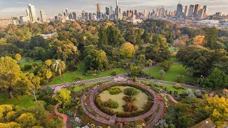 Discover Royal Botanic Gardens Victoria [upl. by Ahsieka633]