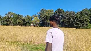 New Santali Status Video ❤️😘 [upl. by Wedurn]