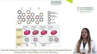 Reacciones Transfusionales a Hemocomponentes  Dra July Ospina [upl. by Gad]