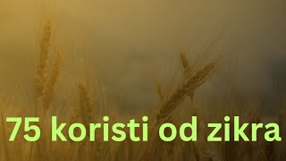 75 koristi od zikra [upl. by Eceinert]