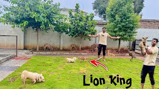 Hunter Farm House Mey aya ❤️ Sab Animals Sy Dosti Kr li [upl. by Wheeler704]