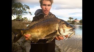 TASSIE WINTER BREAM ON PLASTICS [upl. by Littman200]