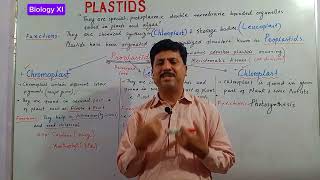 Biology XI  Plastids and its types [upl. by Swanson]