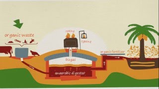 what is biogas how did it produce [upl. by Nelad]