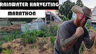 Rainwater Harvesting Marathon  Frugal Off Grid [upl. by Stefano]