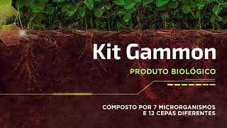 Kit Gammon  Produto Biológico [upl. by Hallimaj909]