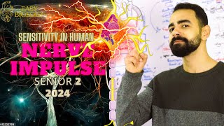 بيولوجي تانية ثانوي  BIOLOGY SENIOR 2 😍  Nerve Impulse ⚡️🧠 Synapse [upl. by Beaudoin420]