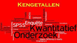 Kwantitatief Onderzoek 09 SPSS Kengetallen [upl. by Roldan]