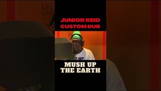 【JUNIOR REID  MUSH UP THE EARTH WAR IS ON CUSTOM DUB】 [upl. by Yrak]