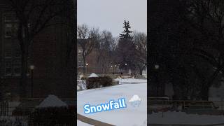 saskatoon canada winter snowfall [upl. by Nickolas]