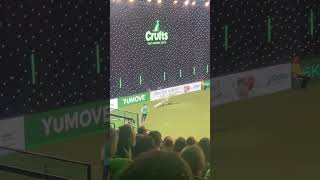 Crufts 2024 International Agility Final WINNER crufts2024 agility dog [upl. by Os]