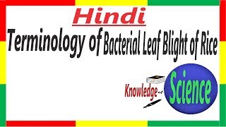 Terminology  Bacterial Leaf Blight of Rice  Plant Pathology  Rice Disease  PPP 5 [upl. by Atiuqrahs]