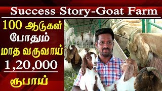 agriculture and organic farming successful goat farming earning Rs 1200000 with 100 goats tamil news [upl. by Riorsson]