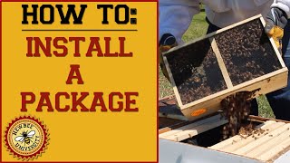 How to Install a Package of Bees [upl. by Monney765]